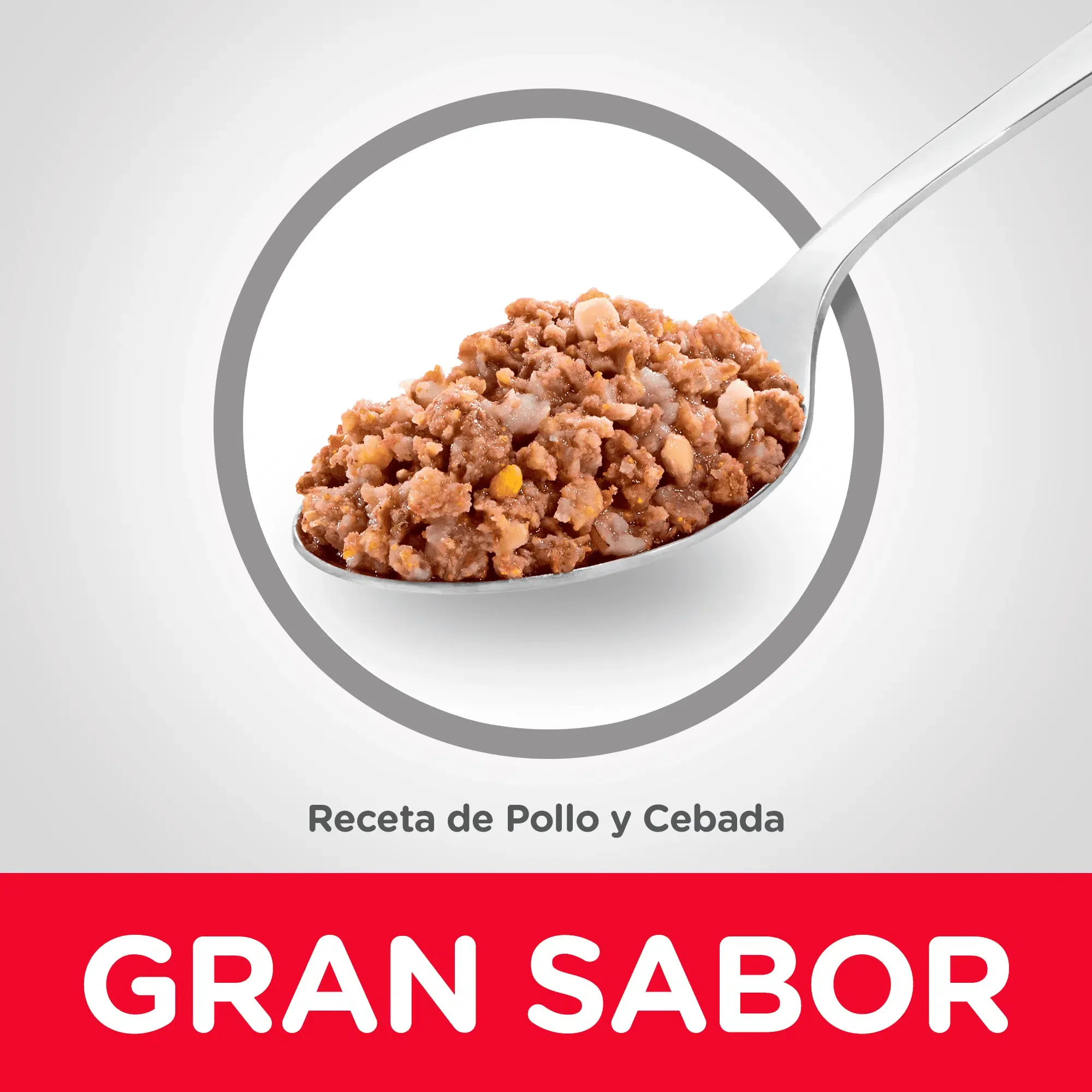 Hill’s Lata Senior Receta de Pollo y Cebada 13onz – Alimento Húmedo para Perro Senior con Pollo - Imagen 3