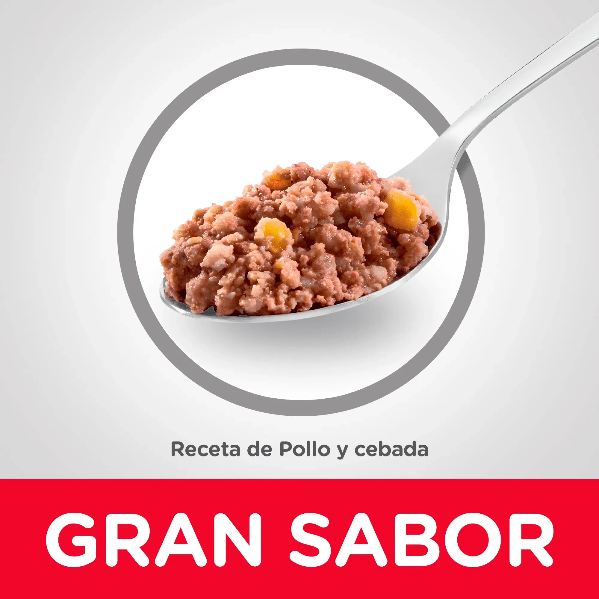 Hill’s Lata Puppy Receta de Pollo y Cebada – Alimento Húmedo para Cachorros con Pollo 13 Onz - Imagen 2