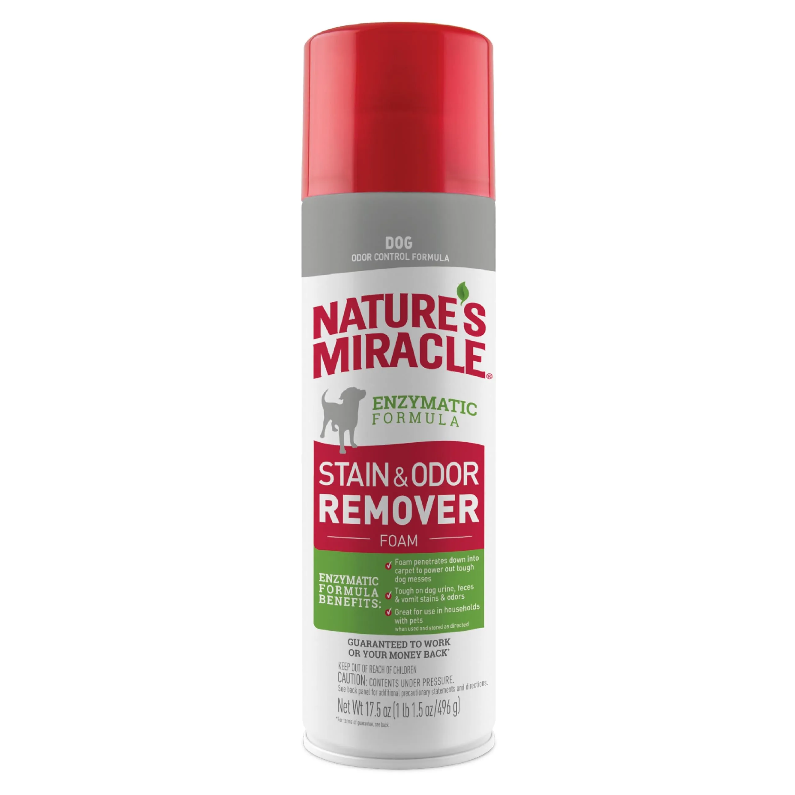 STAIN AND ODOR REMOVER NATURES MIRACLE – DOG FOAM