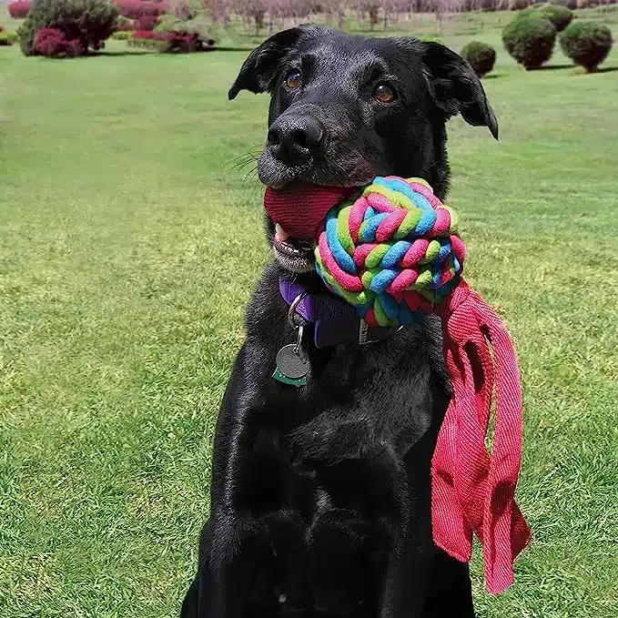 Kong Wubba Weaves - Imagen 3