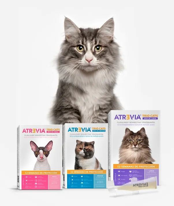 Atrevia Trio Cats – Pipeta Antipulgas Para Gatos