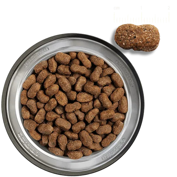 Belcando Junior GF Poultry – Alimento Sin Cereales para Cachorros - Imagen 3