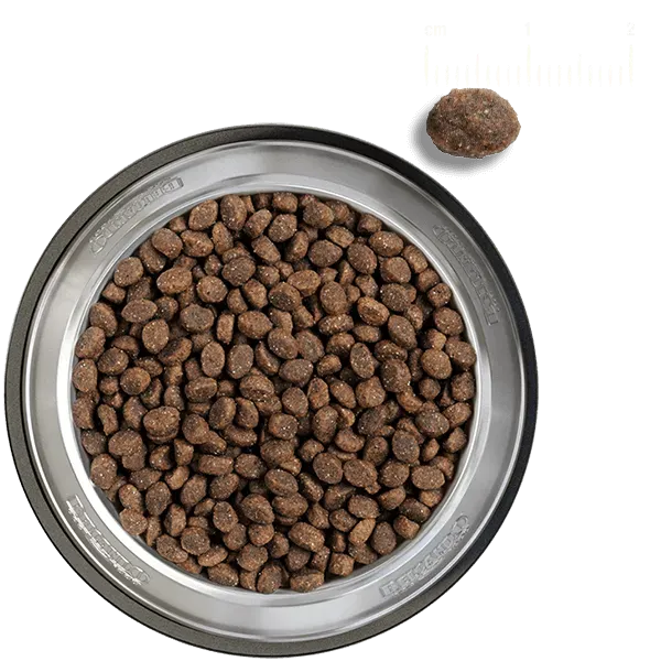 Belcando Puppy GF Poultry – Alimento Premium sin Granos para Cachorros - Imagen 3