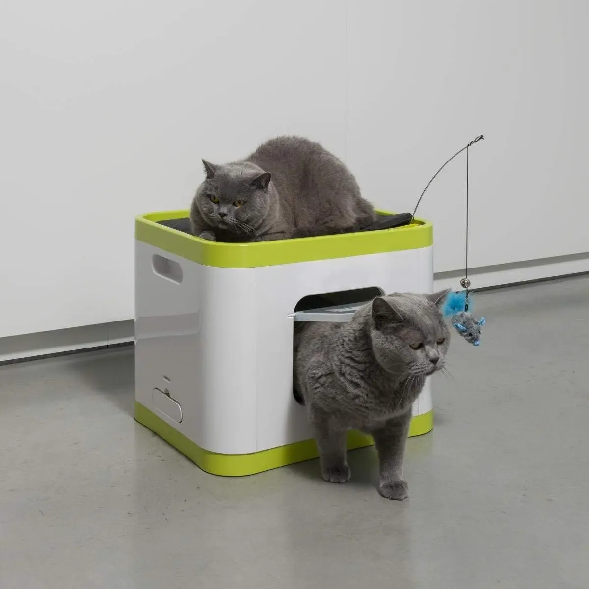 Casa Cube – Arenero Para Gato