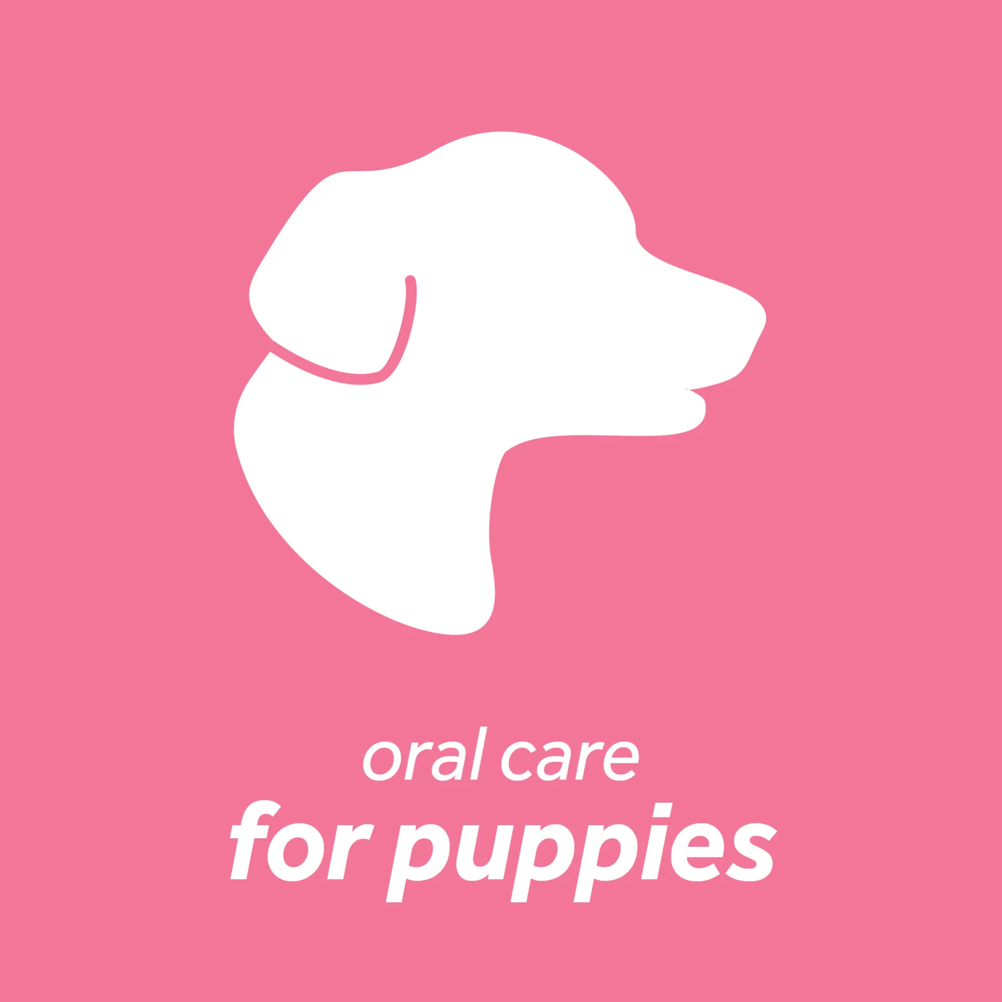 Tropiclean Fresh Breath Oral Care Clean Teeth – Gel Para Cachorros 2oz - Imagen 3