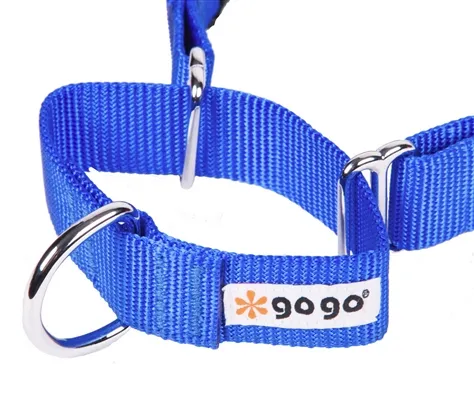 Gogo Martingale Collar Azul De Nylon Para Perros 16″ - Imagen 2