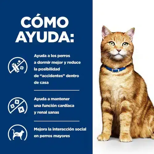 Hill’s Urinary Care C/D Para Gato – Alimento para Gatos con Problemas Urinarios - Imagen 4