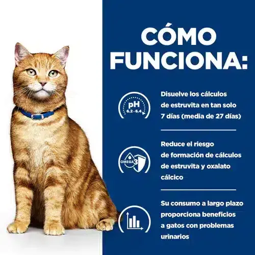 Hill’s Urinary Care C/D Para Gato – Alimento para Gatos con Problemas Urinarios - Imagen 3