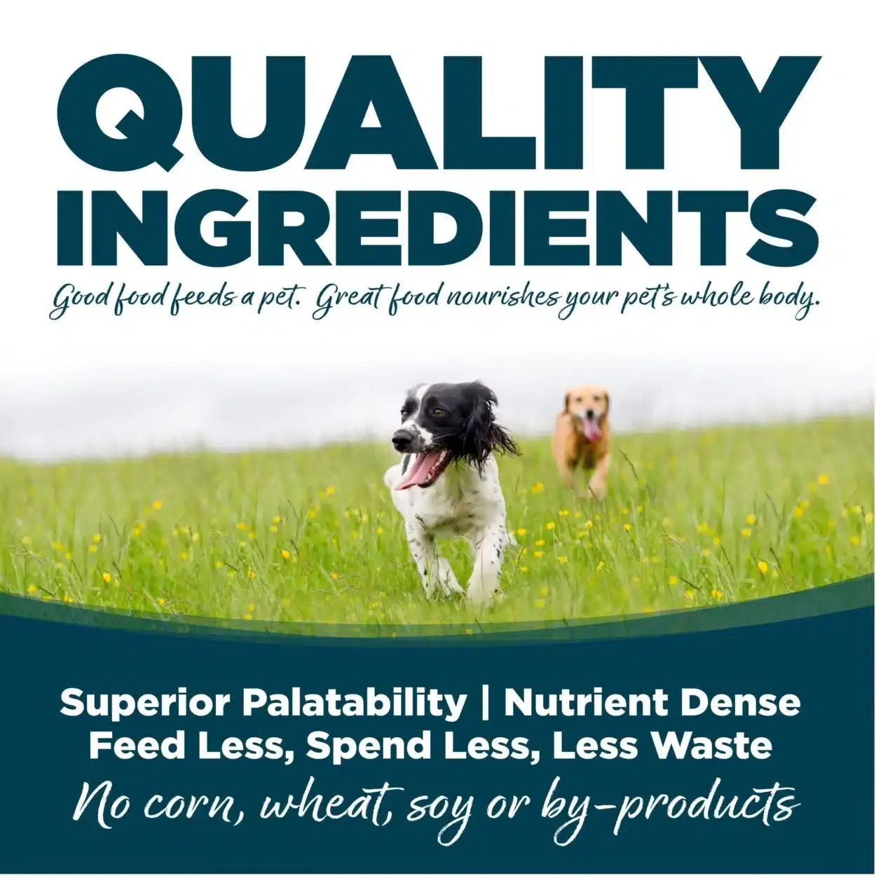 Nutrisource Adulto Raza Pequeña Pollo y Arroz - Imagen 4