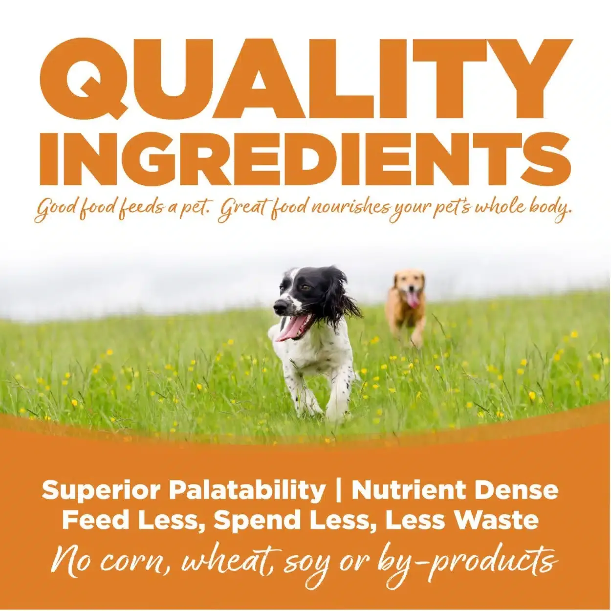 Nutrisource Lamb Meal & Rice - Imagen 4