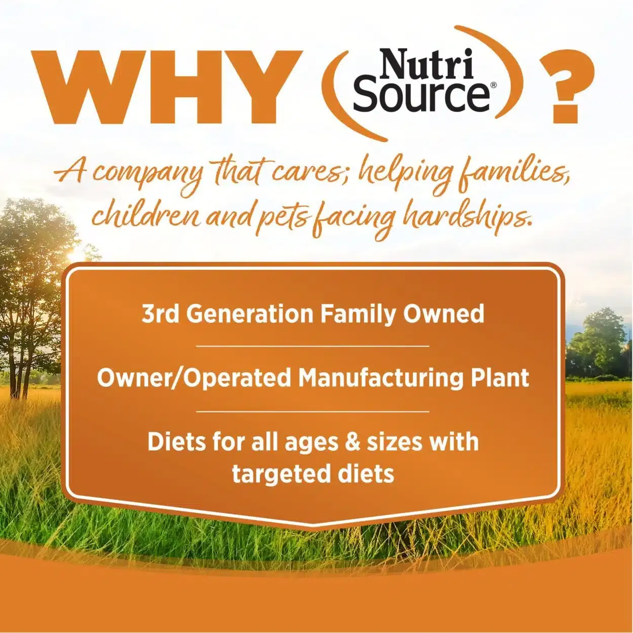 Nutrisource Lamb Meal & Rice - Imagen 3