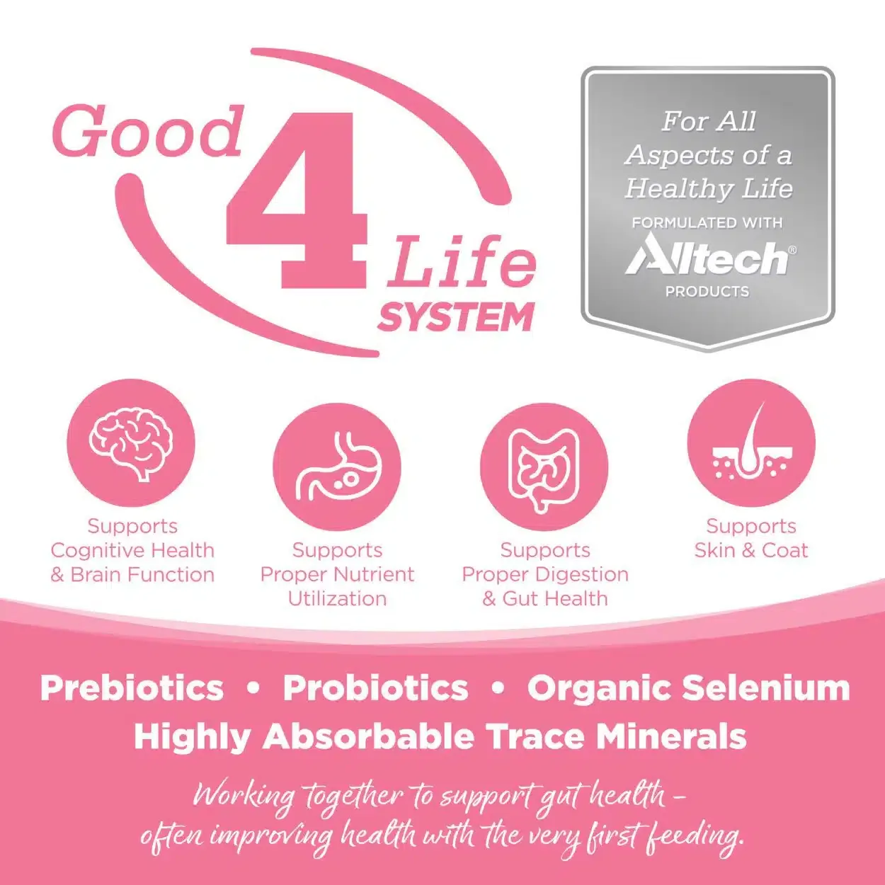 Nutrisource Pure Vita Salmón & Guisantes Para Perros - Imagen 2