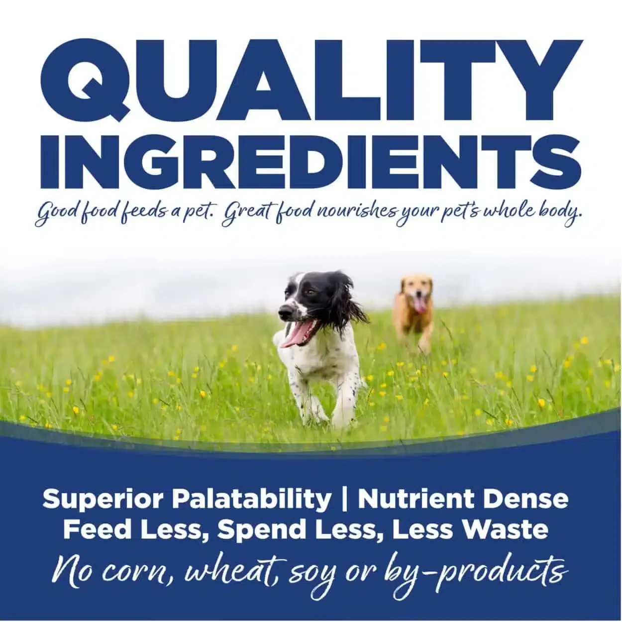 Nutrisource Trucha y Arroz - Imagen 3