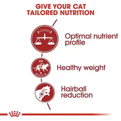 Alimento Para Gato Royal Canin Fit 32 - Imagen 5