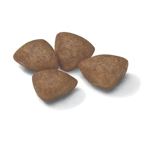 Royal Canin Mini Starter M&B - Imagen 3