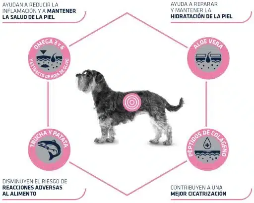 Advance Veterinary Diets Atopic For Mini Dogs 1.5kg - Imagen 4