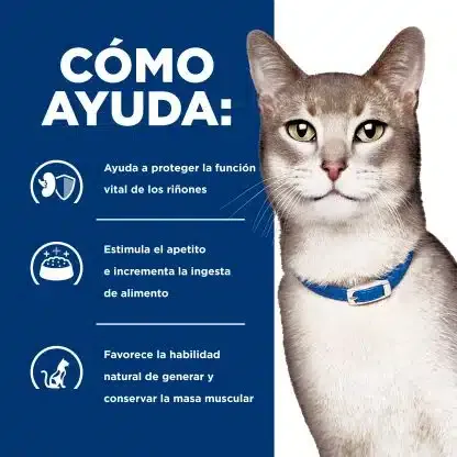 Hills Cuidado de los Riñones K/D Para Gato – Lata 5.5 onz. - Imagen 4