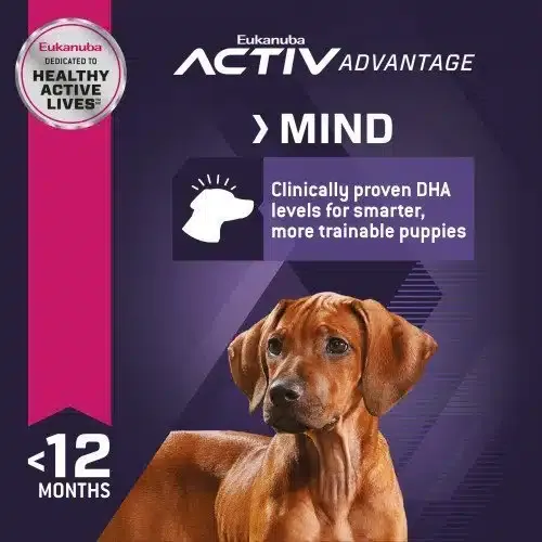 Eukanuba Puppy Large Breed - Imagen 4