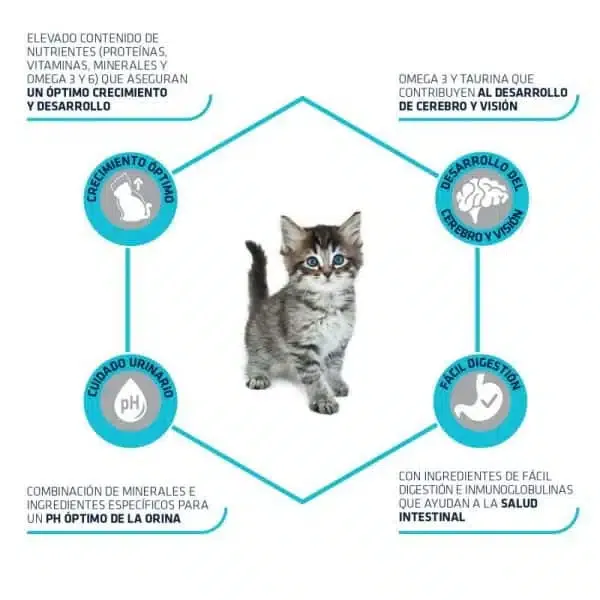 Advance Cat Kitten Pollo Y Arroz - Imagen 2