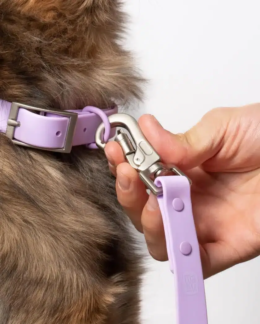 Kit de paseo Color Lilac – Maku® - Imagen 2