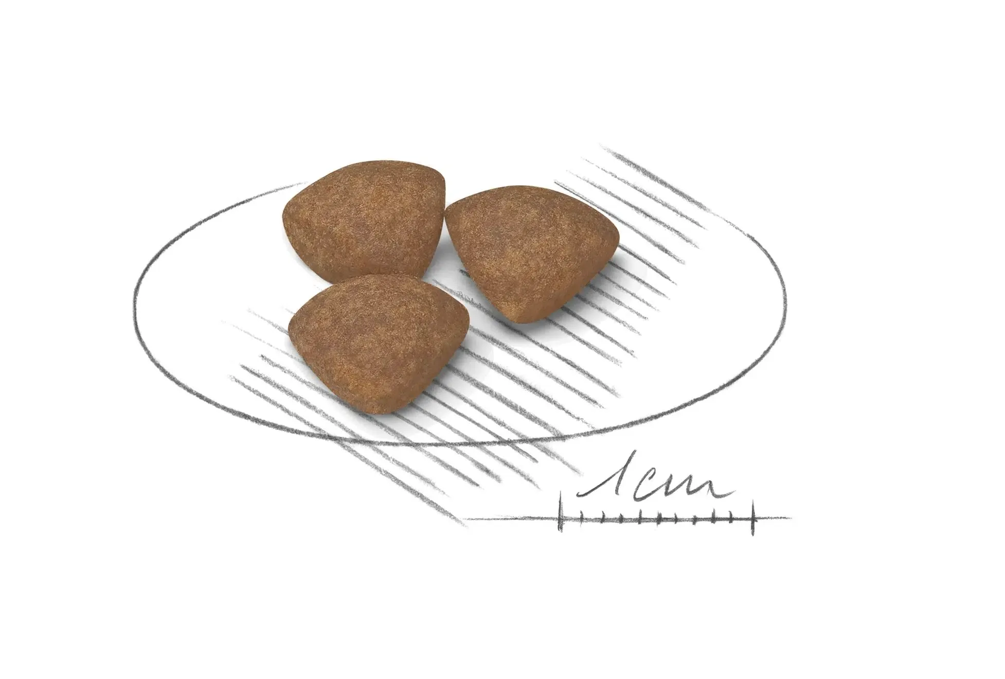 Royal Canin Mini Puppy – Alimento para Cachorros de Raza Pequeña - Imagen 2