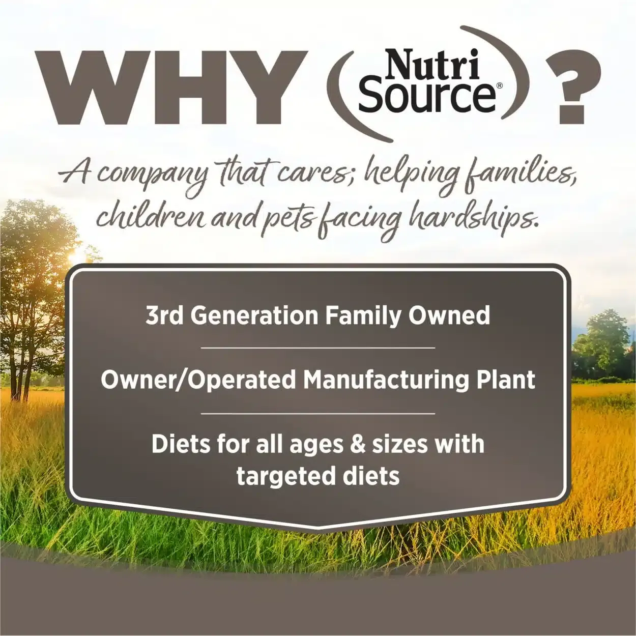 Nutrisource Senior (Pollo y Arroz) - Imagen 3
