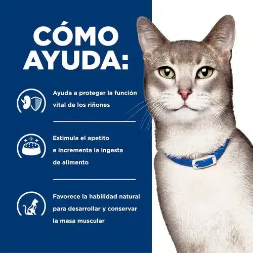 Hill´s Kidney Care K/D Para Gatos – Cuidado Renal - Imagen 5