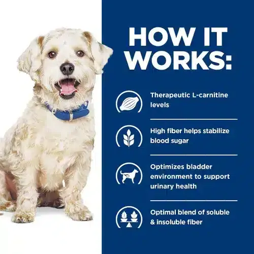 Hills W/D For Dogs – Alimento seco para control de peso y apoyo digestivo - Imagen 5