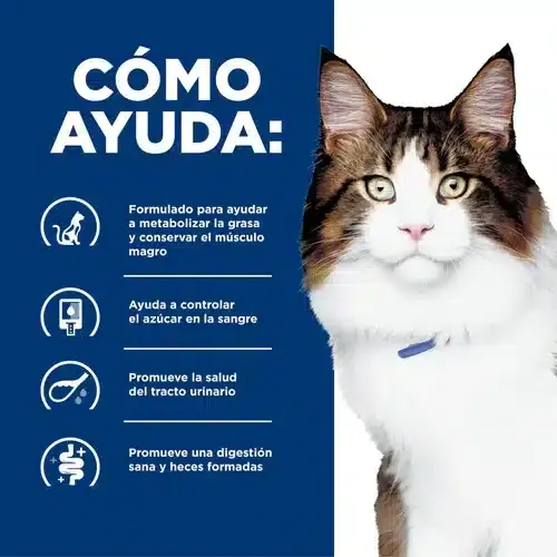 Hill´s W/D Multi – Benefit For Cats – Alimento seco para control de peso - Imagen 5
