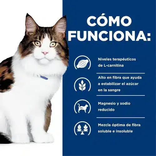 Hill´s W/D Multi – Benefit For Cats – Alimento seco para control de peso - Imagen 6