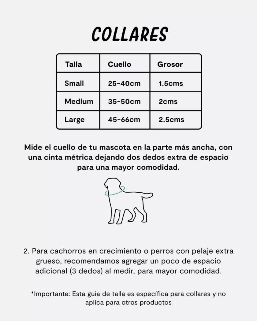 Kit de paseo Color Lilac – Maku® - Imagen 5