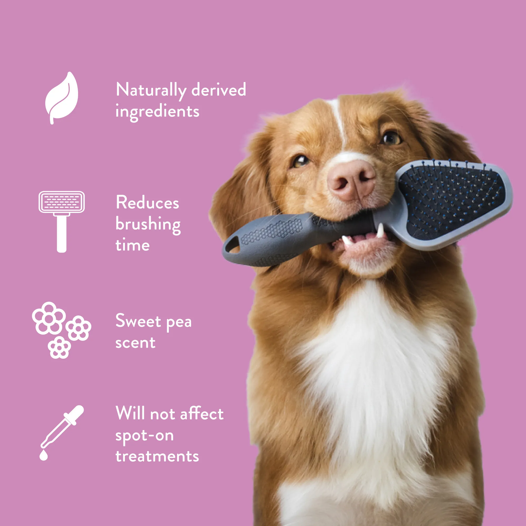 Tropiclean Spray Desenredante Sweet Pea – Cuidado del Pelaje para Perros y Gatos 16oz - Imagen 3