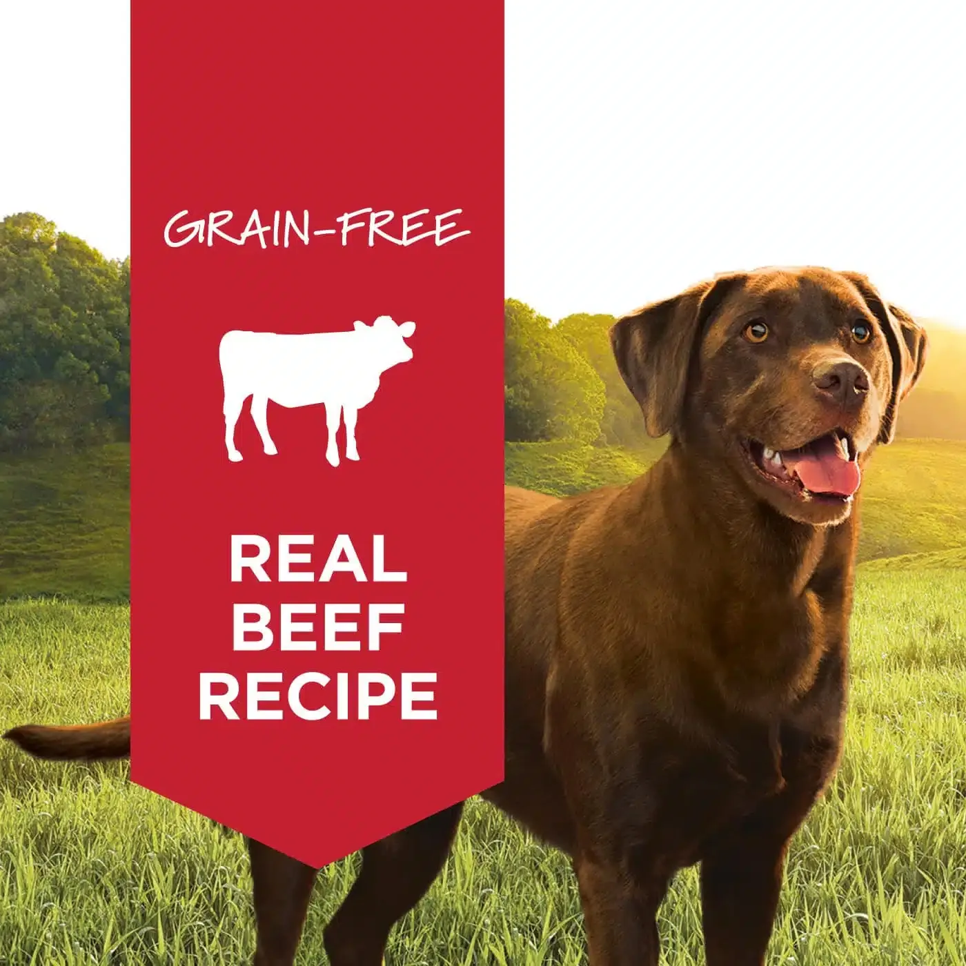 Instinct Original Grain Free Beef For Dogs – Canned 13.2oz - Imagen 2