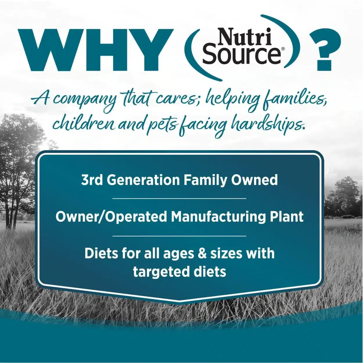 Nutrisource Pollo y Guisantes Grain Free - Imagen 4