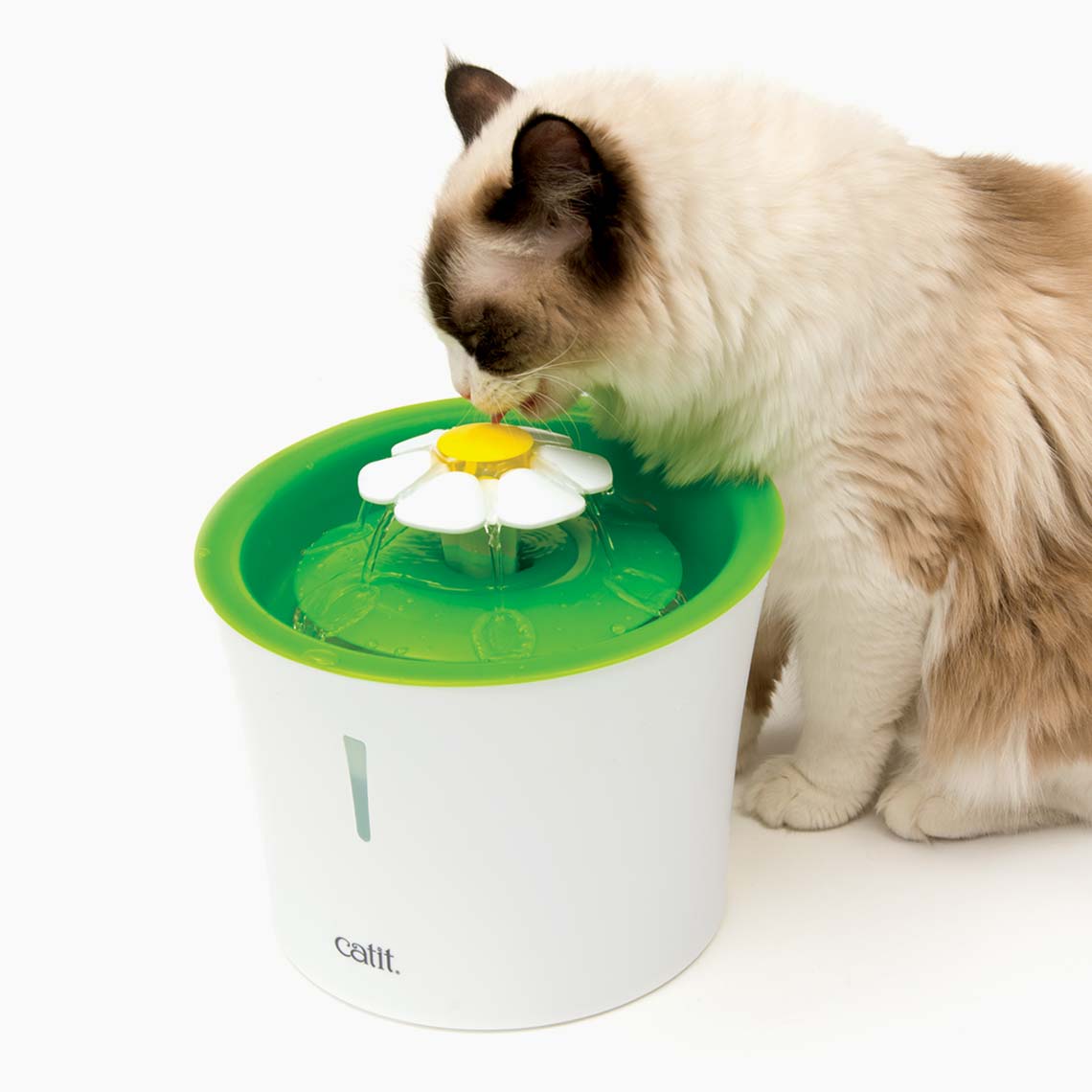 Fuente de agua Circular Cat It
