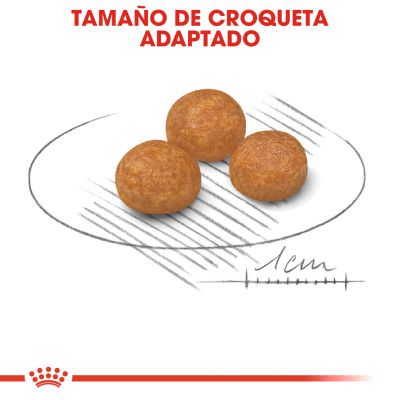 Royal Canin X-Small Adult 500g, 1,5kg, 3kg y Pack 2x3kg - Imagen 2