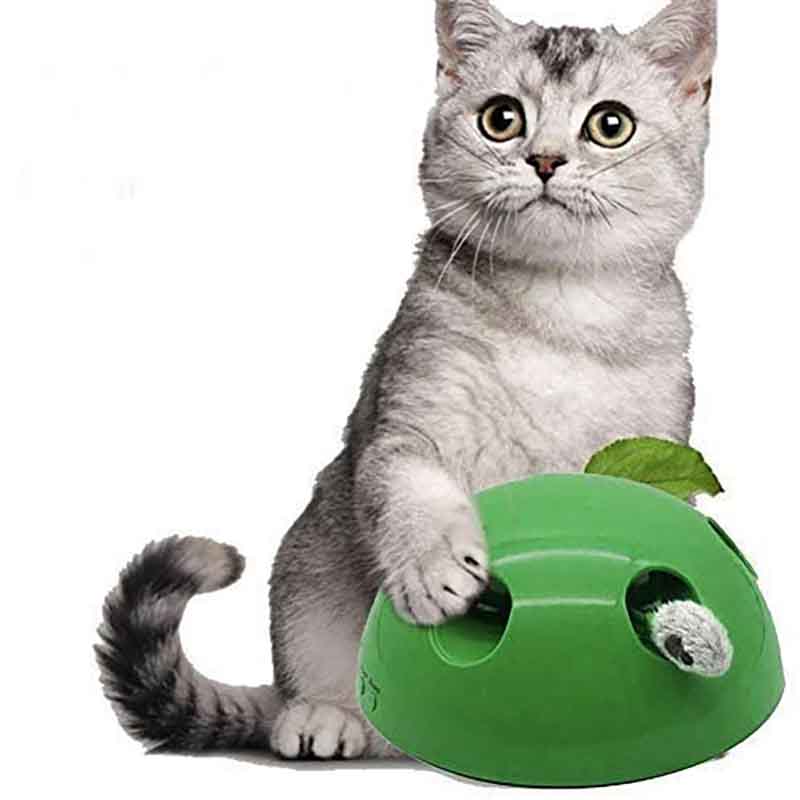 Juguetes Gatos Pilla al Ratón - Imagen 2