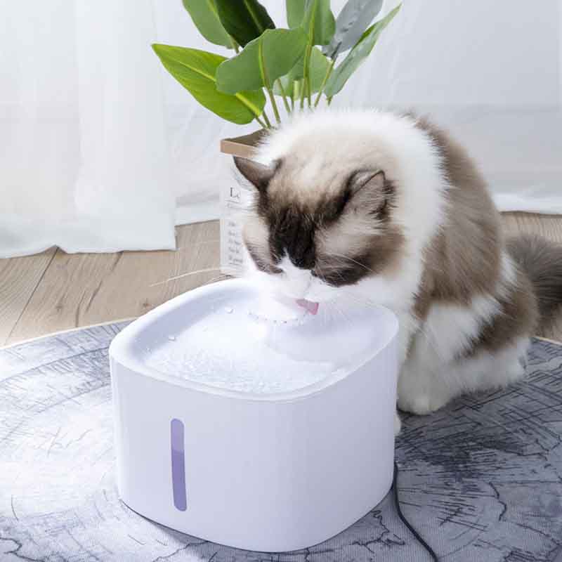 Fuente de Agua para Gatos – Hidratación Irresistible y Flujo Continuo para Mascotas Felices - Imagen 8