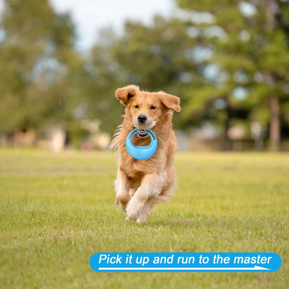 Discos de juguete voladora interactiva para perros pequeños y grandes, mordedores de juguete para perros de goma suave - Imagen 2