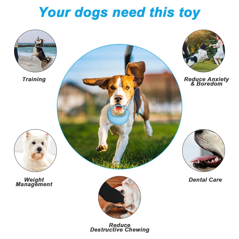 Discos de juguete voladora interactiva para perros pequeños y grandes, mordedores de juguete para perros de goma suave - Imagen 4