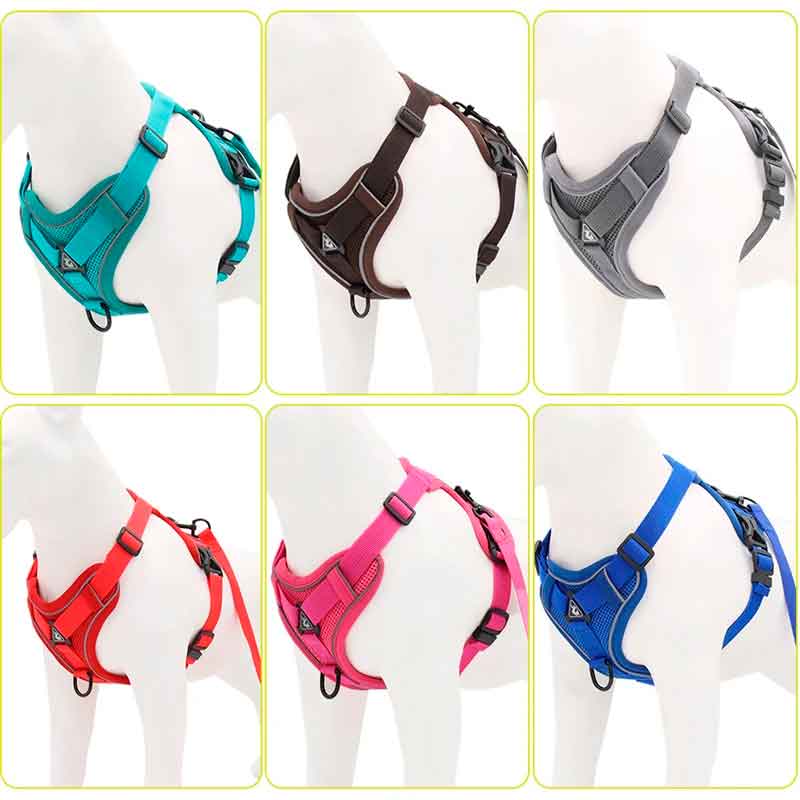 Pechera Perro Talla M - Imagen 8