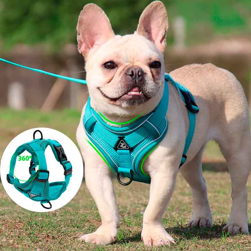 Pechera Perro Talla M - Imagen 6