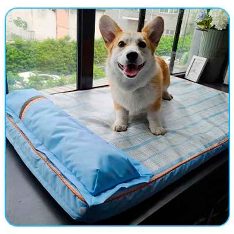 Colchón para Perro con Almohada Talla L – Descanso Superior y Comodidad Total