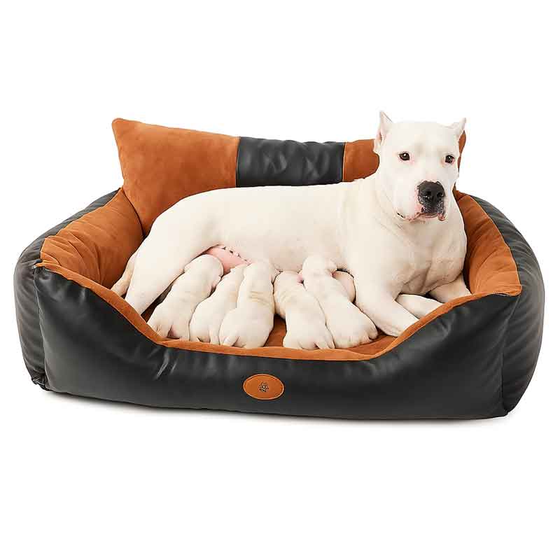 Cama para Perros Grandes Cuerina XXL, 1 cama premium, Precio Sorprendente y Exclusivo - Imagen 4