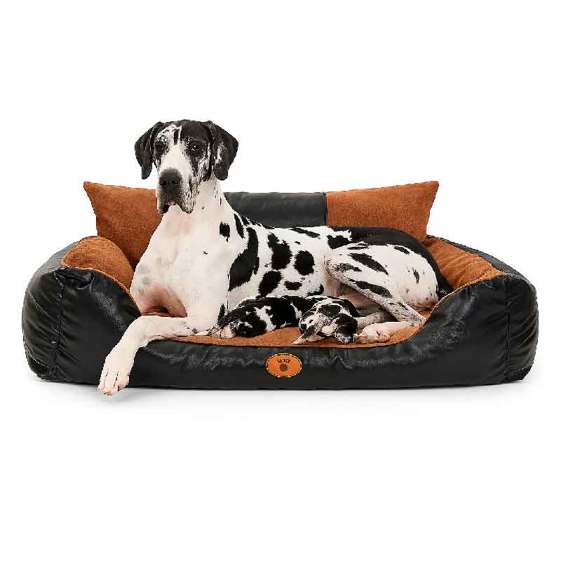 Cama para Perros Grandes Cuerina XXL, 1 cama premium, Precio Sorprendente y Exclusivo - Imagen 9