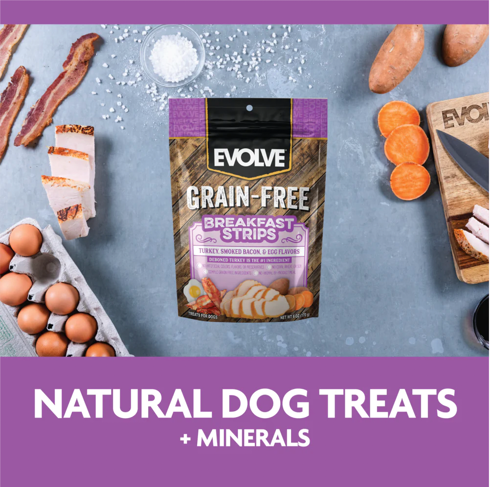 EVOLVE DOG SNACK CLASSIC JERKY BREAKFAST BISCUIT PAVO TOCINETA - Imagen 5
